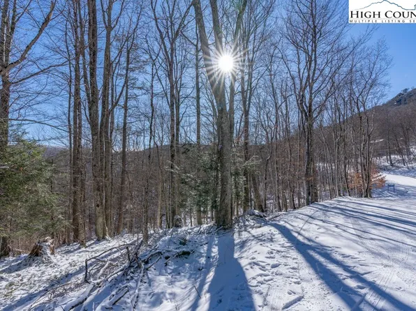 113/115 Foxgrape Hollow, Beech Mountain, NC 28604