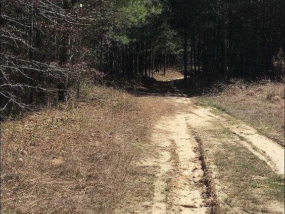 4th image of 395 County Road 2346