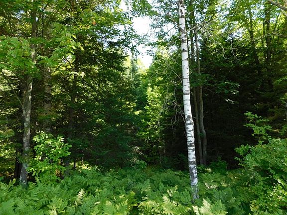 3rd image of On N Clover Road Road