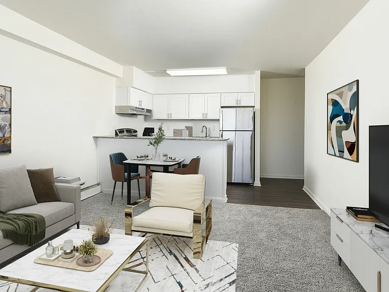 Living and Kitchen Area