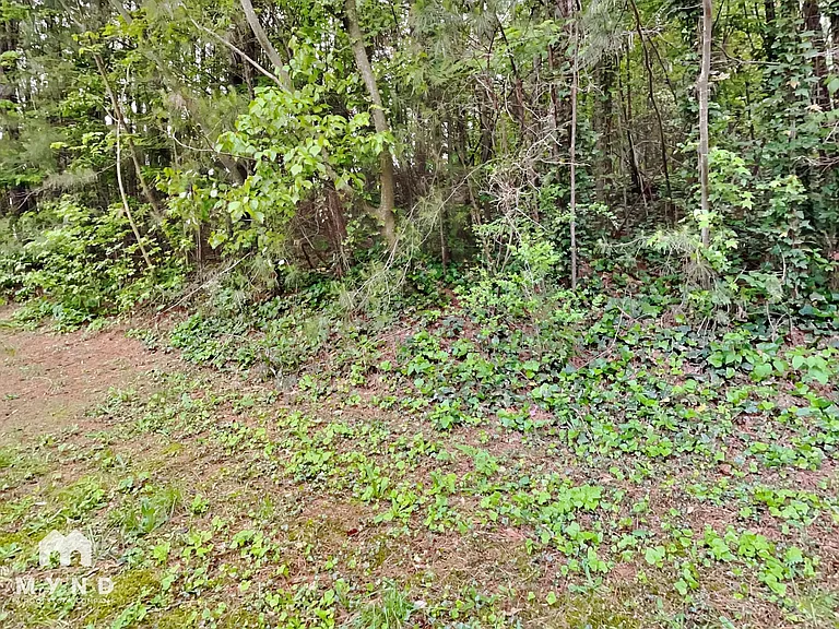 2772 Live Oak Trl — Photo 31