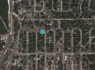 1314 Saint Augustine Ct, Kissimmee, FL 34759