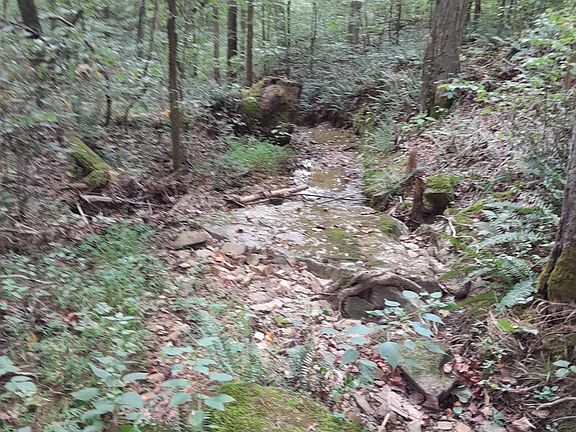 5th image of 0 Meadows Rd