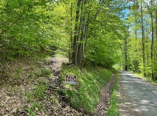 Wolf Run Rd, Frametown, WV 26623