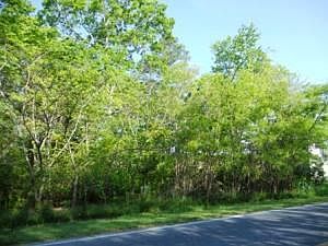2nd image of 107 Mumfords Landing Rd