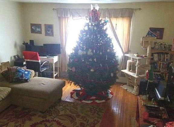 3rd image of 1479 Village Way