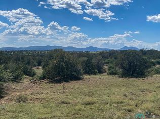 37 Xyz Ranch Rd, Arenas Valley, NM 88022