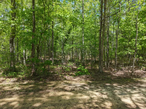 0 Jim Black Dr, Old Fort, TN 37362