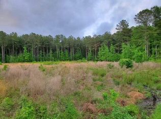 2189 Snake Swamp Rd, Cope, SC 29038