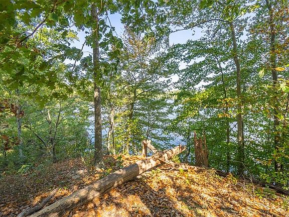 2nd image of 916 Kinloch Point Ln