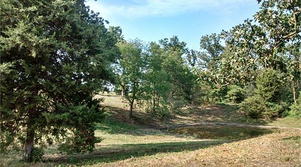 2nd image of 7059 Farm Road 1100