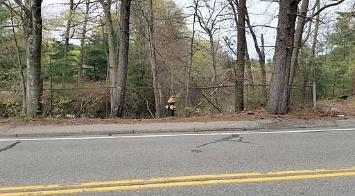 2nd image of 52 Pine St