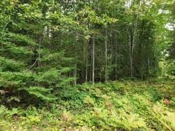 14250 Town Hall Hwy LOT A & B, Millersburg, MI 49759