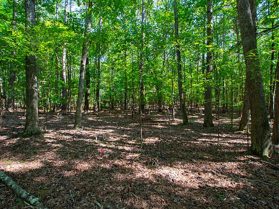 3rd image of LOT 8/9 New Hope Dr #8/9