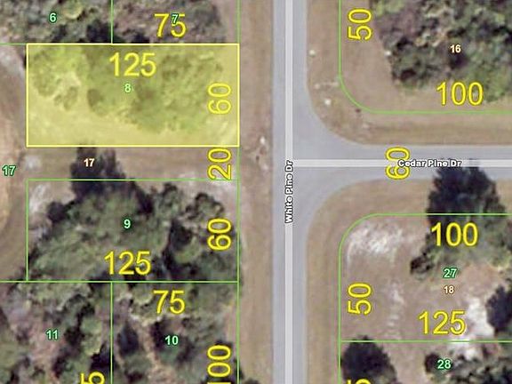 5th image of 133 White Pine Dr