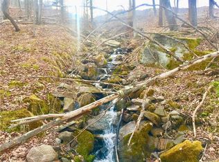 Parksville Rd, Parksville, NY 12754