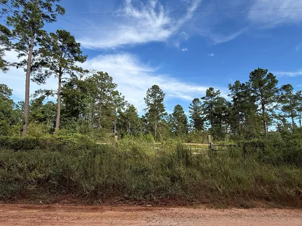 0 Richardson Rd E, Livingston, TX 77351