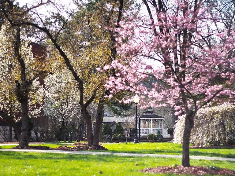 1011 N Negley Ave #7 — Photo 1