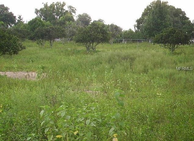 2nd image of Lake Easy Rd