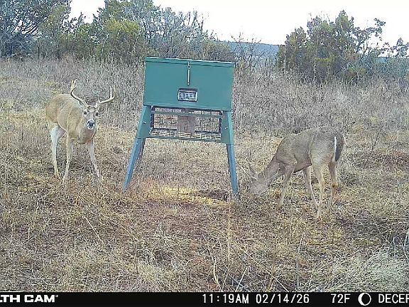 4th image of 154 Tbd County Rd