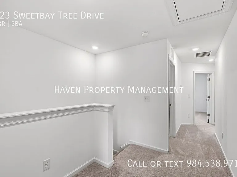 323 Sweetbay Tree Dr — Photo 21