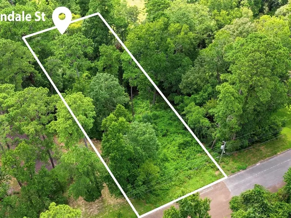 0 Hillendale Dr Lot 5, Livingston, TX 77351