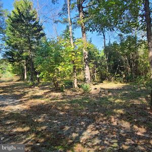 12 Sacred Heart, Louisa, VA, 23093