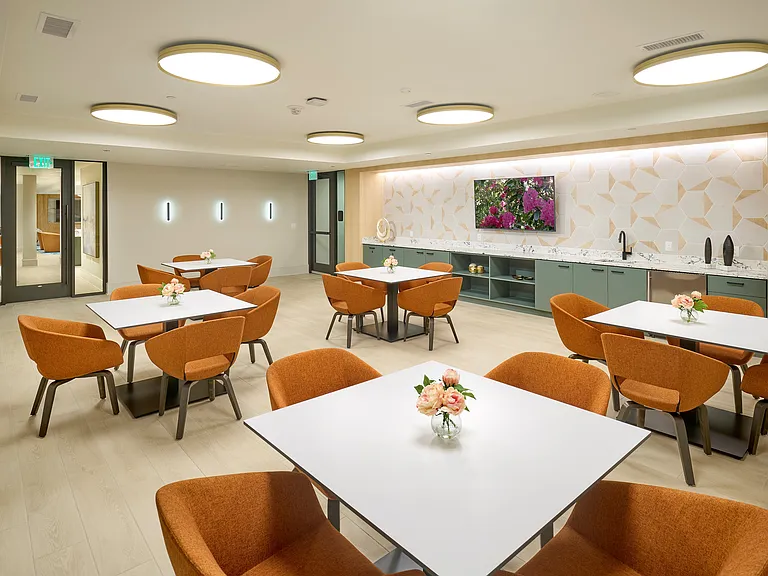 Indigo at McLean Station Phase I Multi-Purpose Party Room With Seating Areas, TV & More