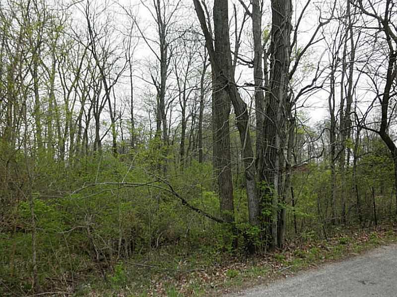2nd image of 0 Centerline Rd