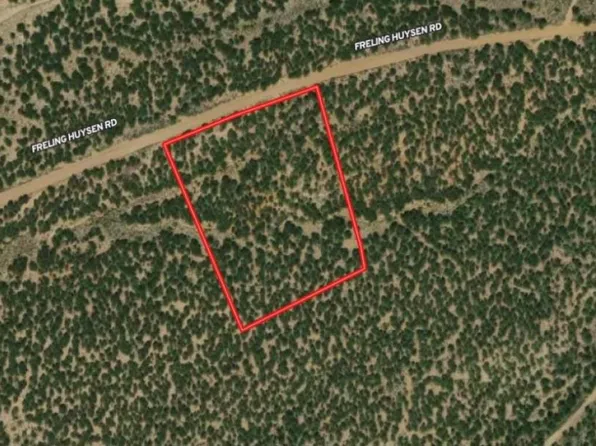 Freling Huysen Road, Fort Garland, CO 81133