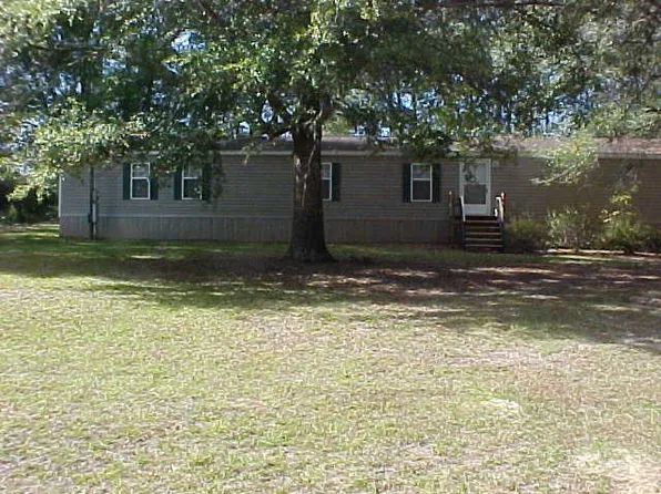 202 S 3rd St, Geneva, AL 36340