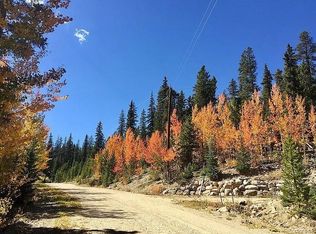 639 Guymard Rd, Fairplay, CO 80440