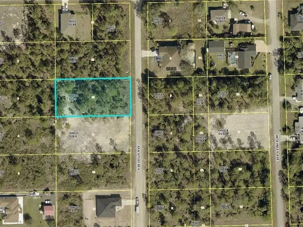919 Hibiscus Ave, Lehigh Acres, FL 33972