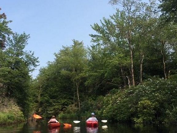 2nd image of 1174 Deer Run