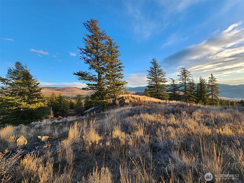 4th image of 0 Blue Grouse (Div 5, Lot 42)