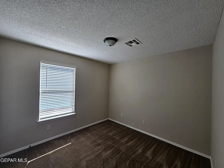 12036 Copper Head Ln — Photo 7