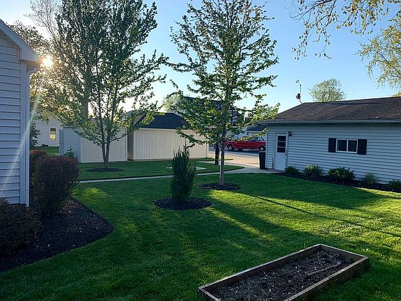 Backyard North-East view