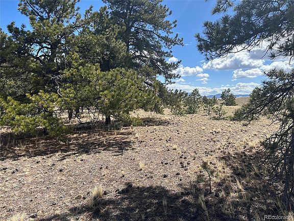 5th image of 517 Brahma Circle LOT 925