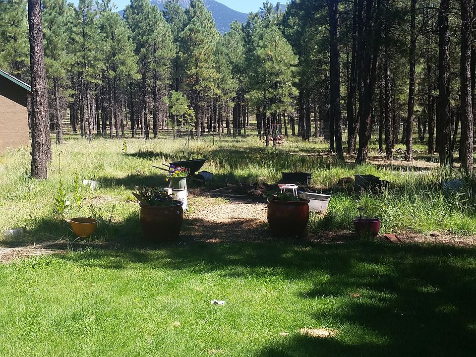Backyard view