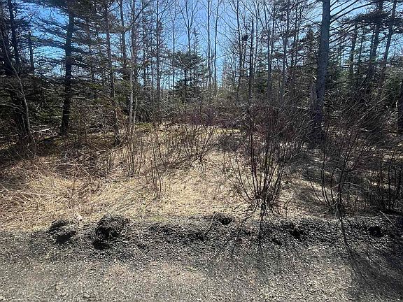 5th image of Hampton Mountain Rd