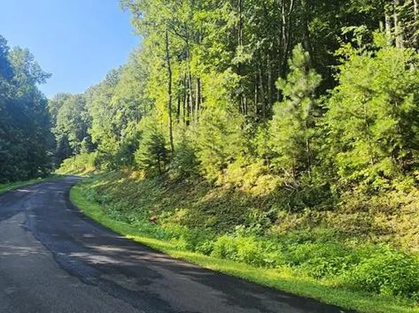 L176 Trailwood Dr, Ellijay, GA 30536