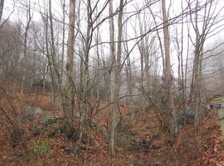 Labrador Ln, Burnsville, NC 28714