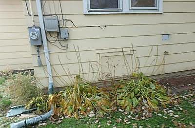 2nd image of 911 W 193rd Pl