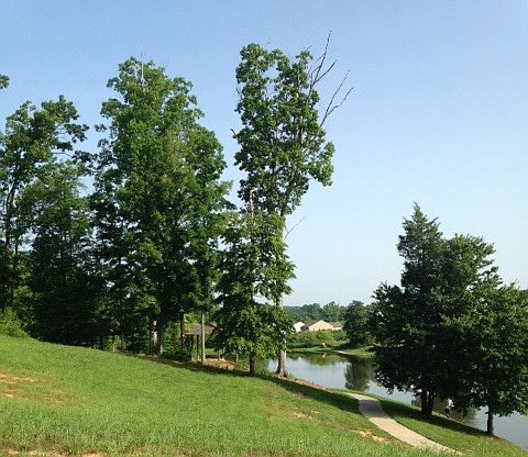 Salem Spring Neighborhood!
