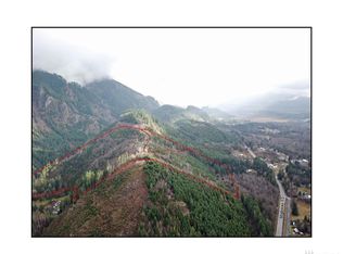 9079 Us Highway 12 Hwy, Randle, WA 98377