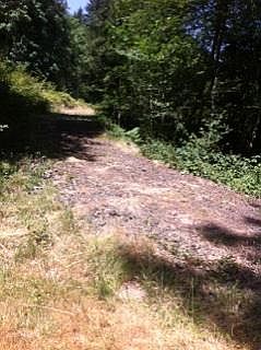 1st image of 491 SE Picadilly Dr