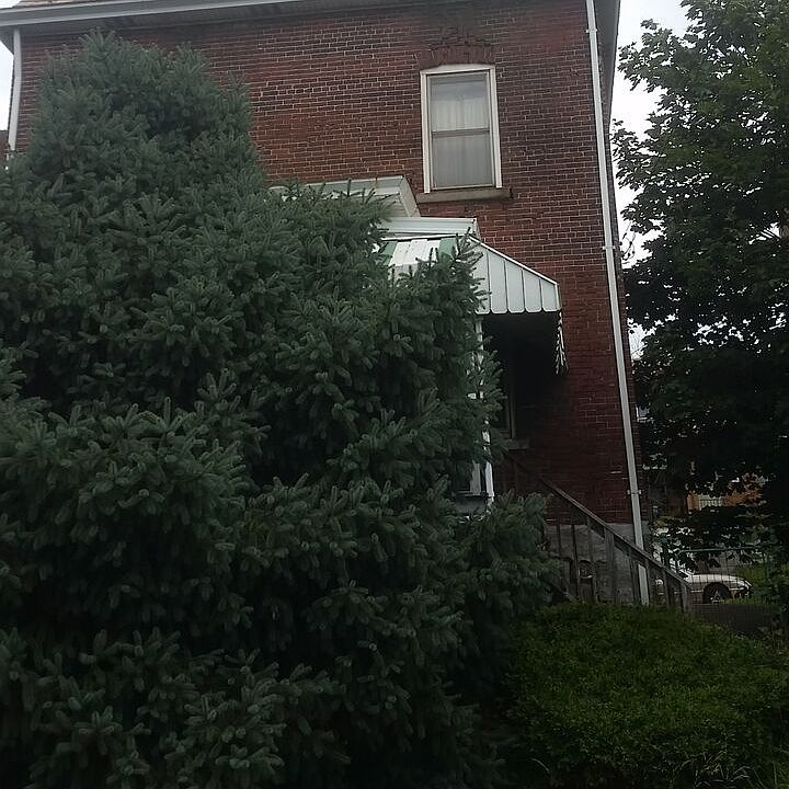 1st image of 165 Knox Ave