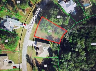 3393 N Canterbury Lake Dr, Hernando, FL 34442