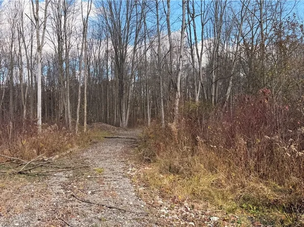 2119 Hayford Rd, Rock Creek, OH 44084