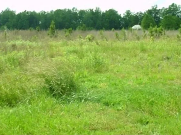 242 Lees Mill Rd, Gates, NC 27937